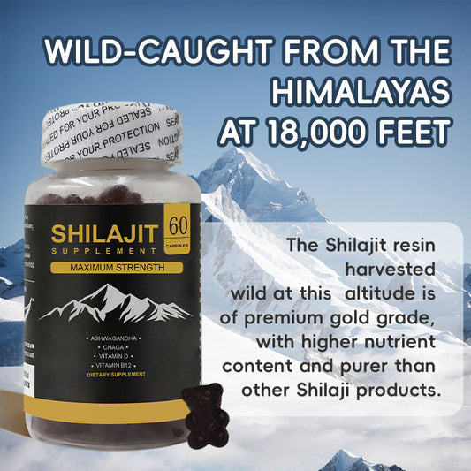 SHILAJIT GUMMIES